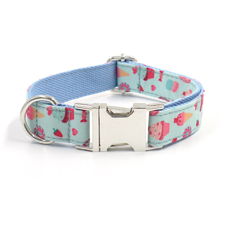 Dog Collar and Lead Set Colourful