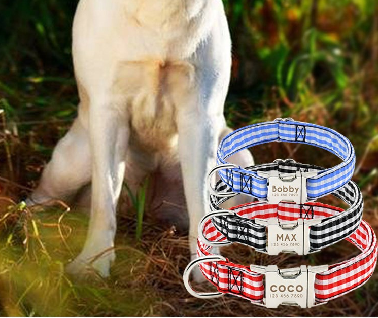 Pet Dog Name Collar Custom Dog Collar Lettering