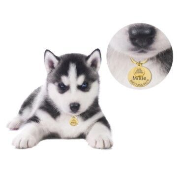 Custom Pet Tag Dog Cat