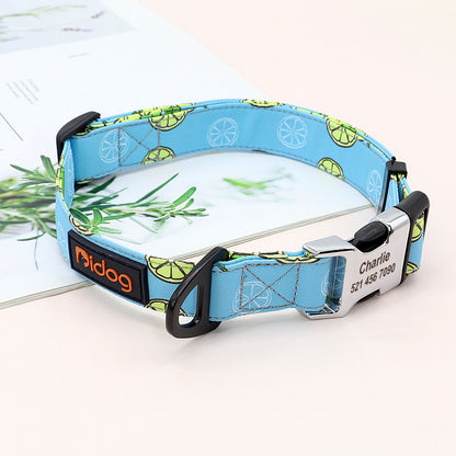 Dog Collar with Custom Engraving Personalised